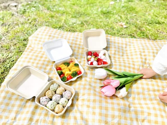 ピクニックシート、レジャーシート